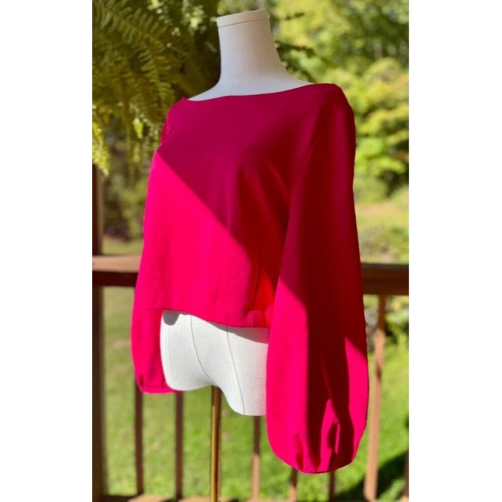 Maeve Anthropologie M Pink Corset Lace-Up Back Balloon Sleeve Top - Picture 5 of 7